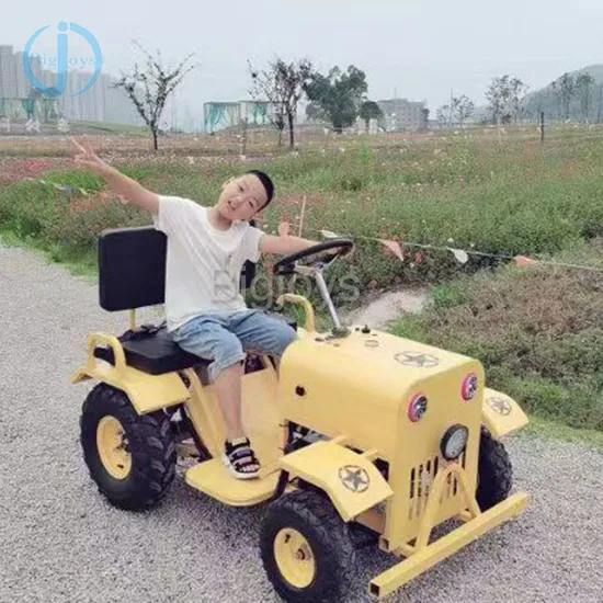 子供と親のための遊園地バッテリーペダルゴーカート、レクリエーションカート